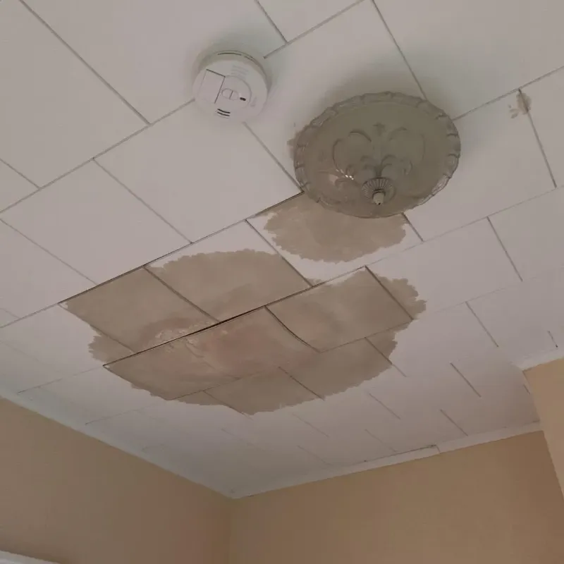 Ceiling Water Damage Repair in North Judson, IN