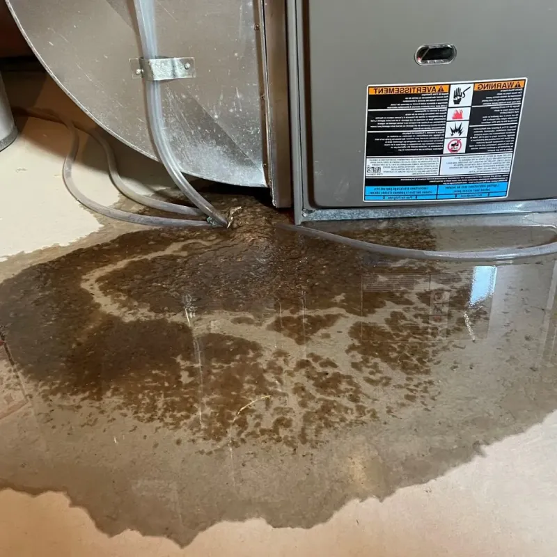 Pipe Burst and Leak Restoration in North Judson, IN