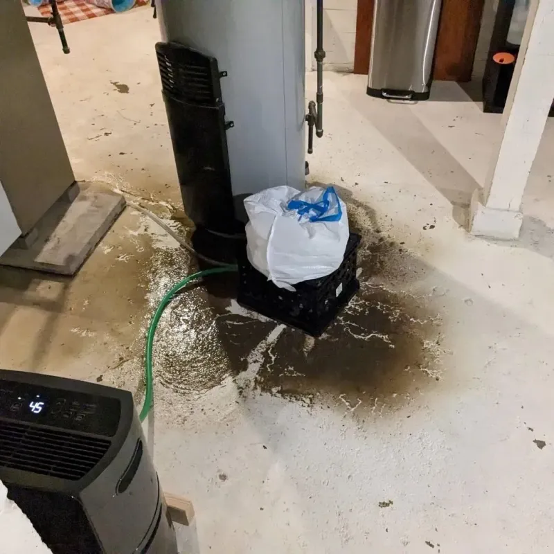 Sewage Backup Cleanup Service in North Judson, IN